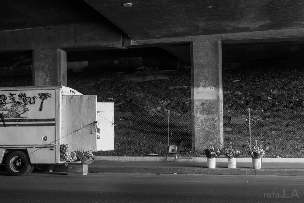 Unattended American Beauty February 05, 2014 - 5 Freeway Indiana Overpass. East LA
