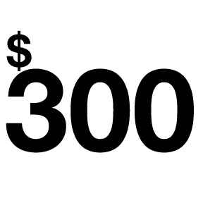 300.jpg