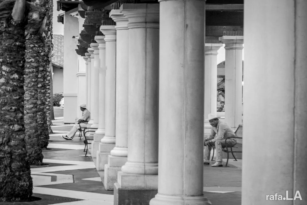 Posted between palms and pillars. August 25, 2014 - Visalia Bus Depot