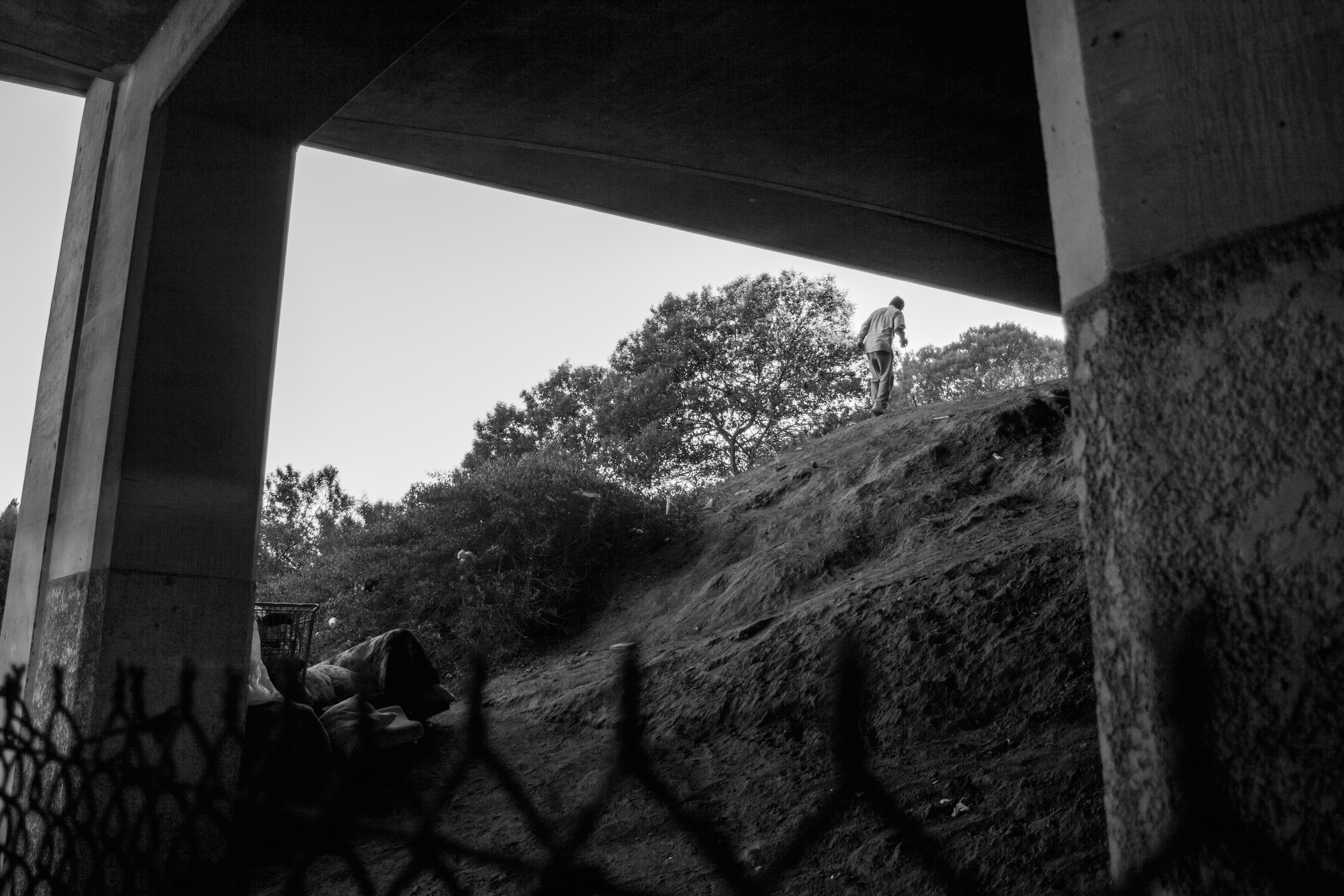 holocene-28.jpg