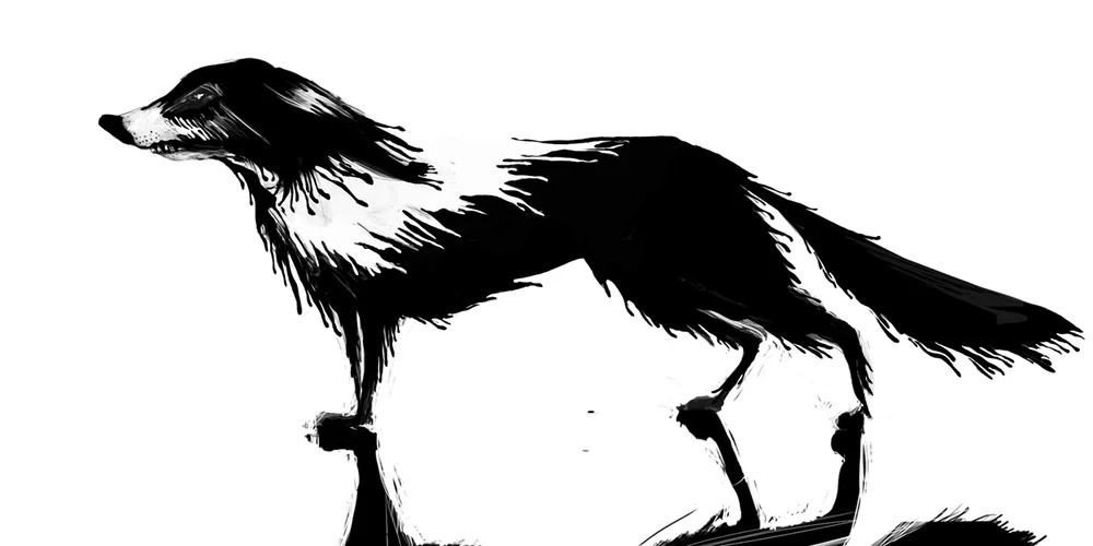 Dog excercise for Clue