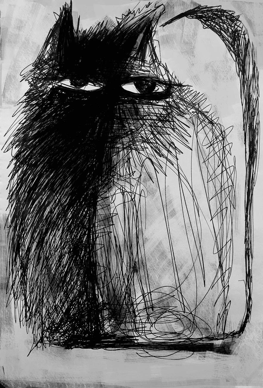 Cat with long eyes