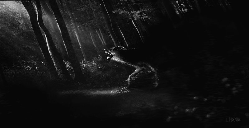 Wild Wolf