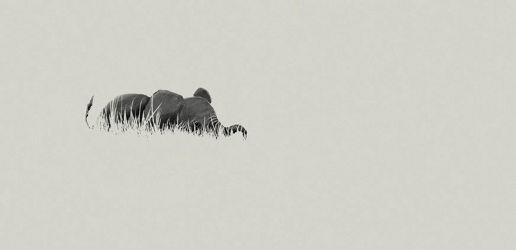 Elephant V