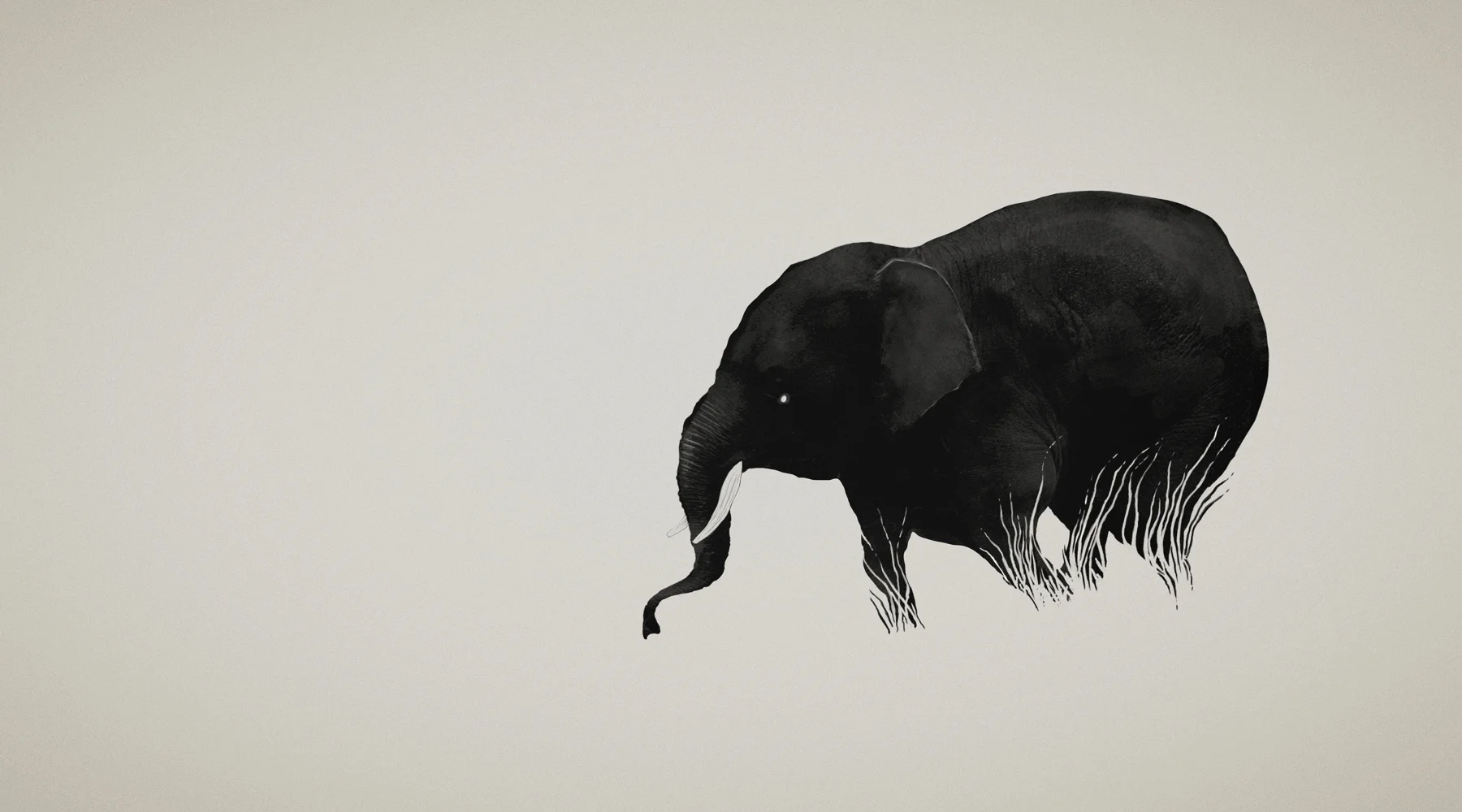 Elephant XV