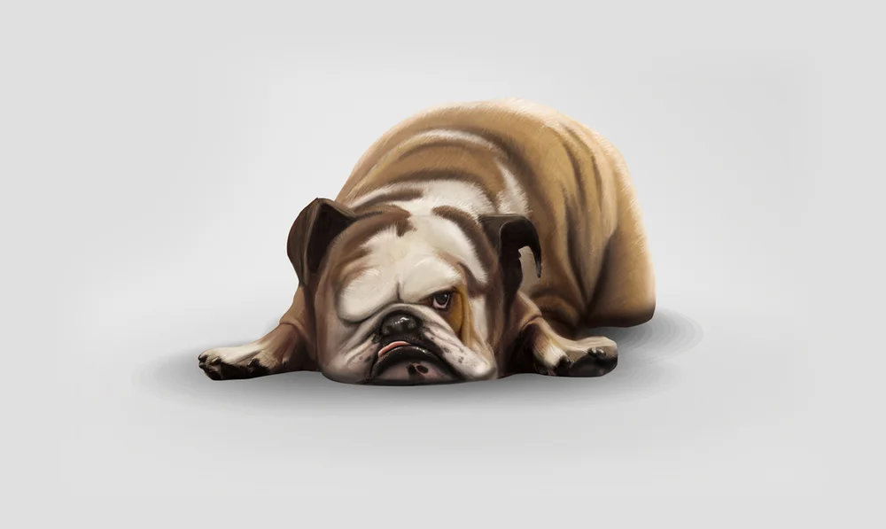 LaurenIndovina_BGpets2011-2.jpg
