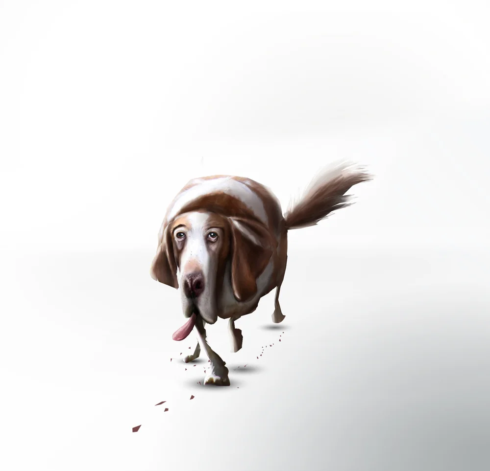 LaurenIndovina_BritishGas_Dog02_o.jpeg
