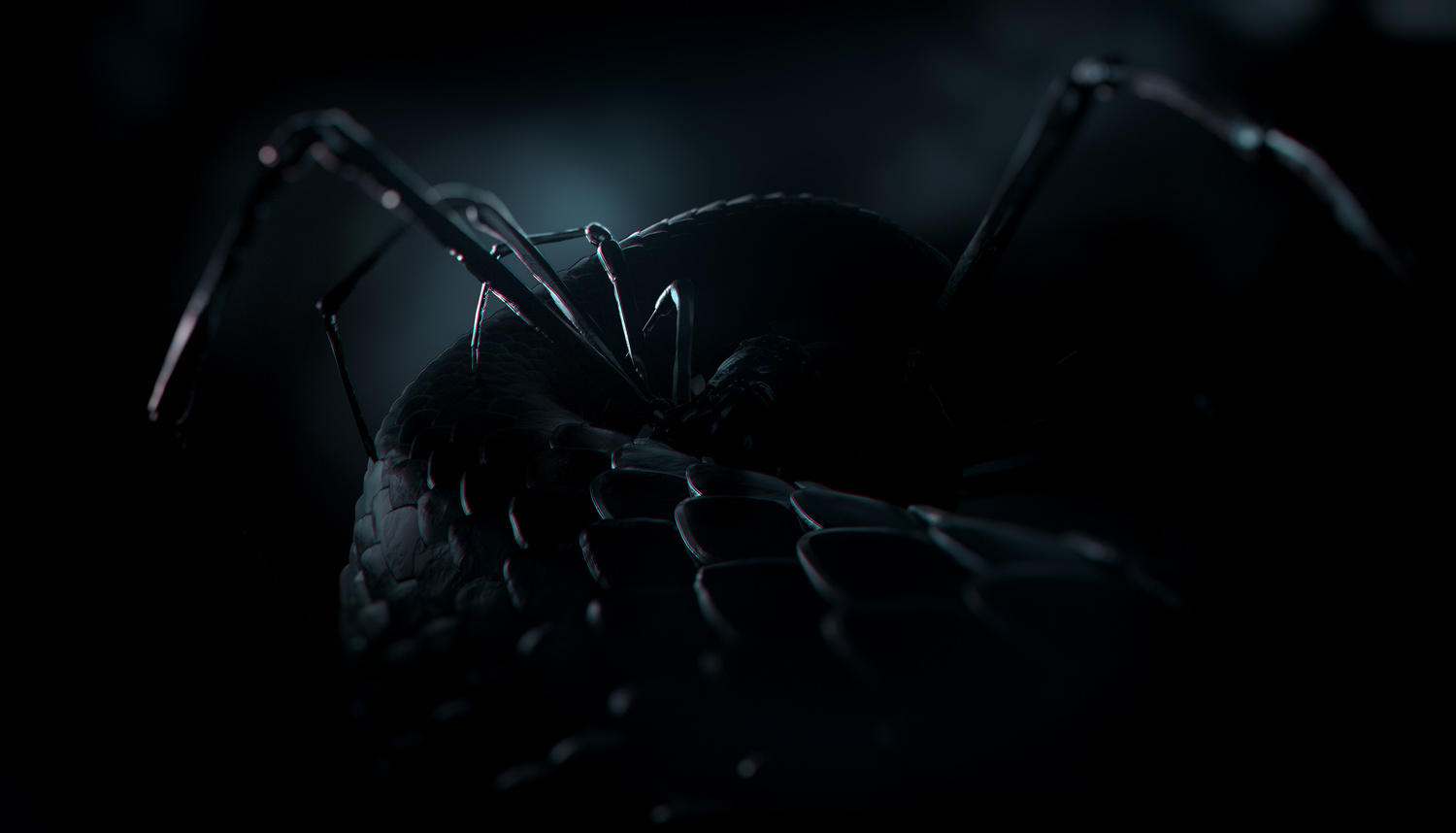 Lauren-Indovina-Penny-Dreadful-Packaging-PSYOP-Snake-and-Spider-2.jpg