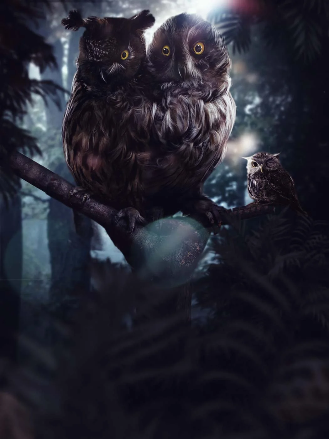 Two Headed Owls