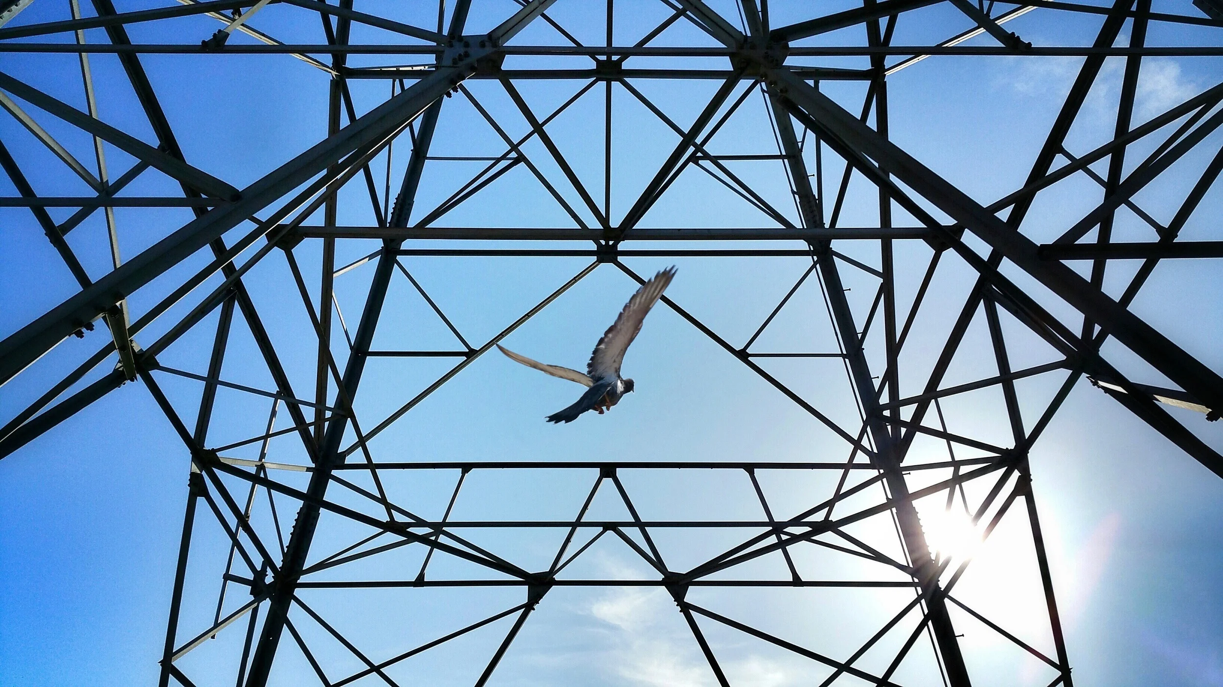 IN FLIGHT