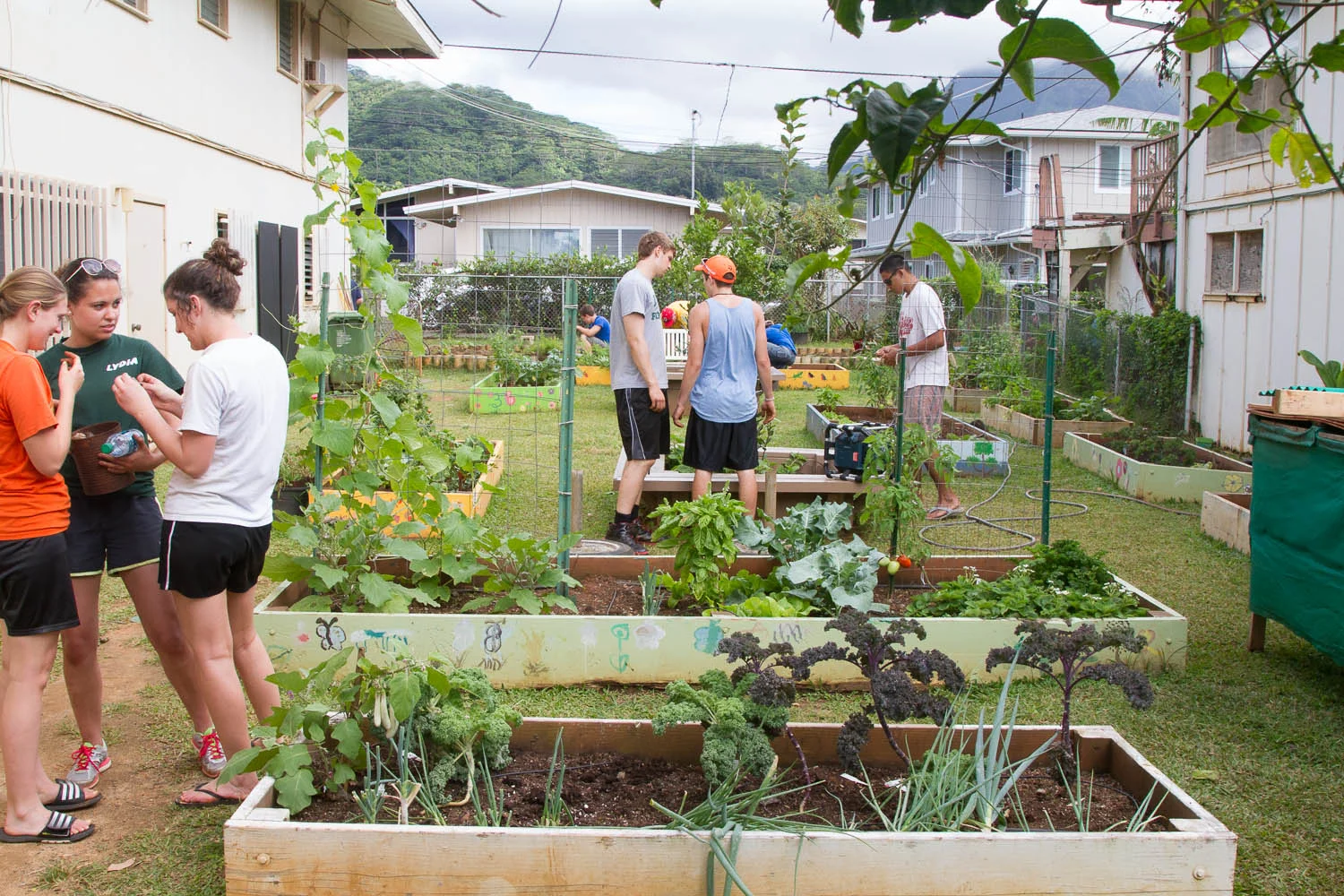 This was the garden we just got done reworking so that the school can use it for the cafeteria.