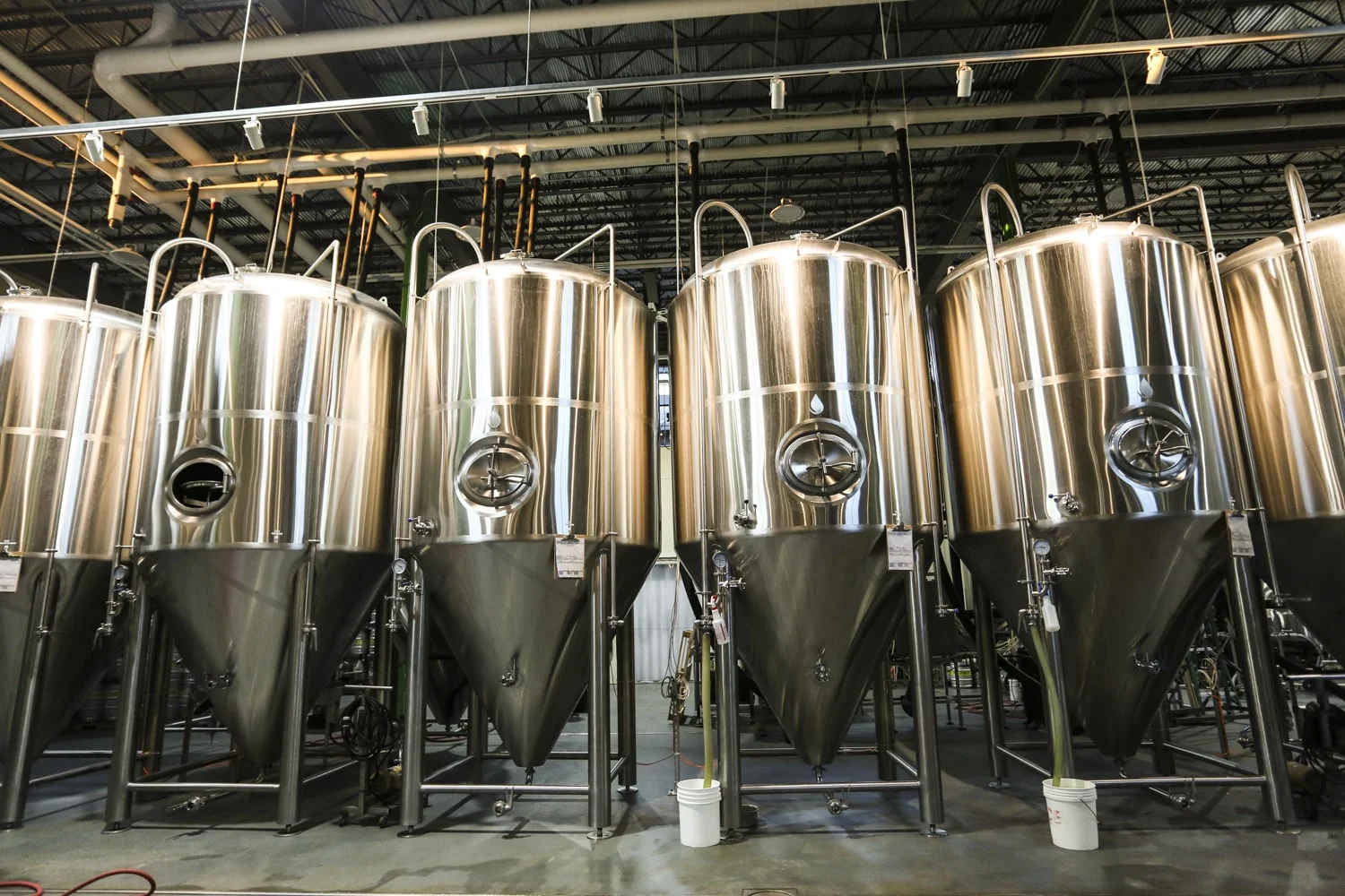 FURTHUR YOUR BEERDUCATION