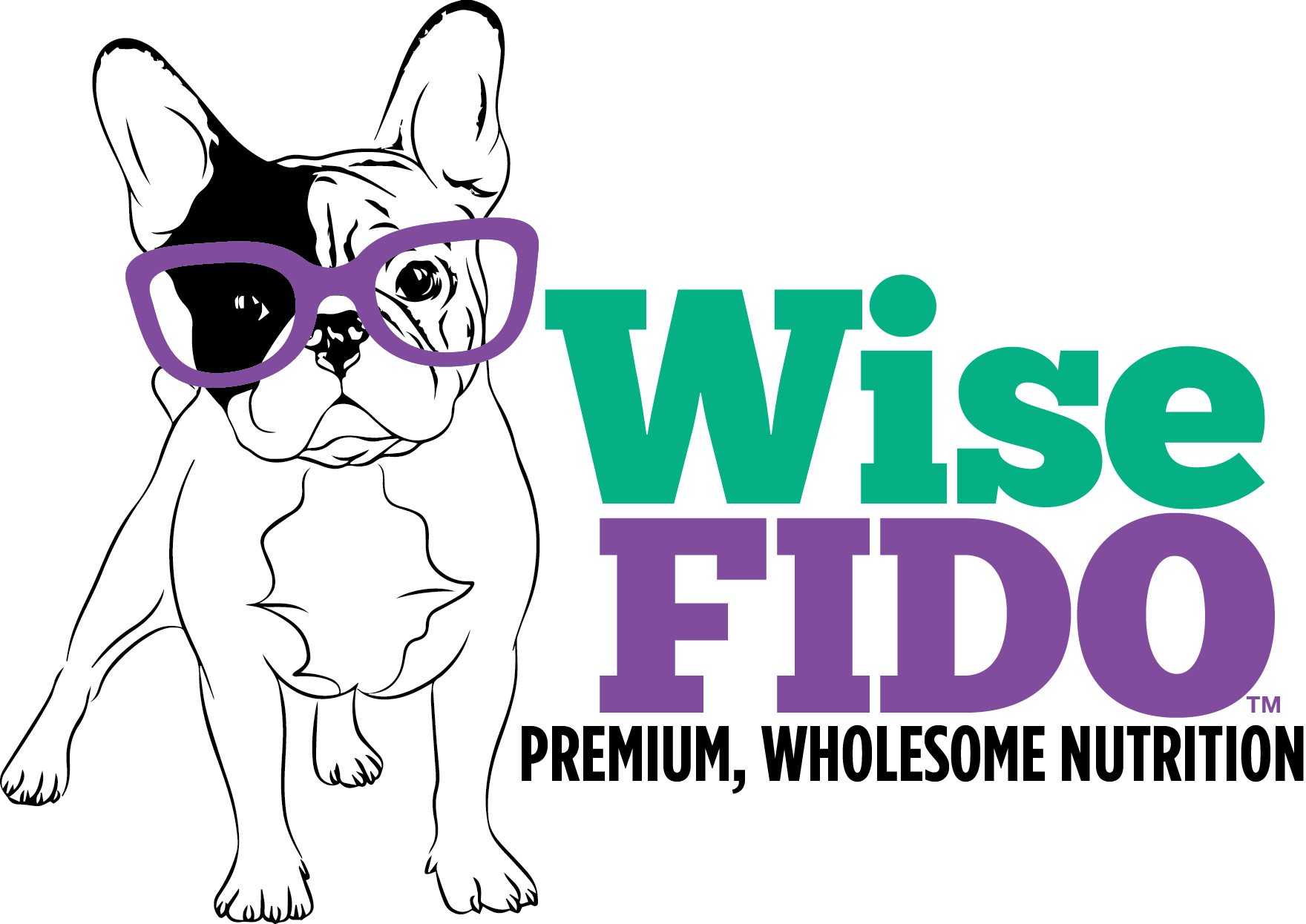 WiseFido_final.png