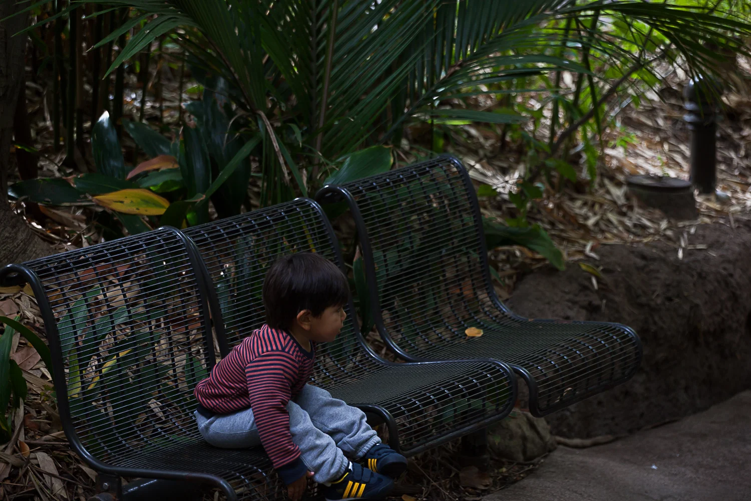 Zoo (57 of 76).jpg