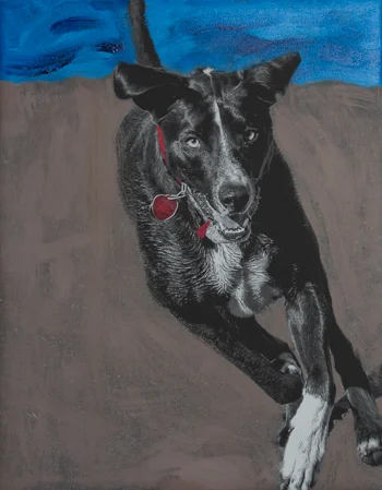 Man's best friend running on the beach. Color ads depth, vibrance and flair to the black and white canvas.
