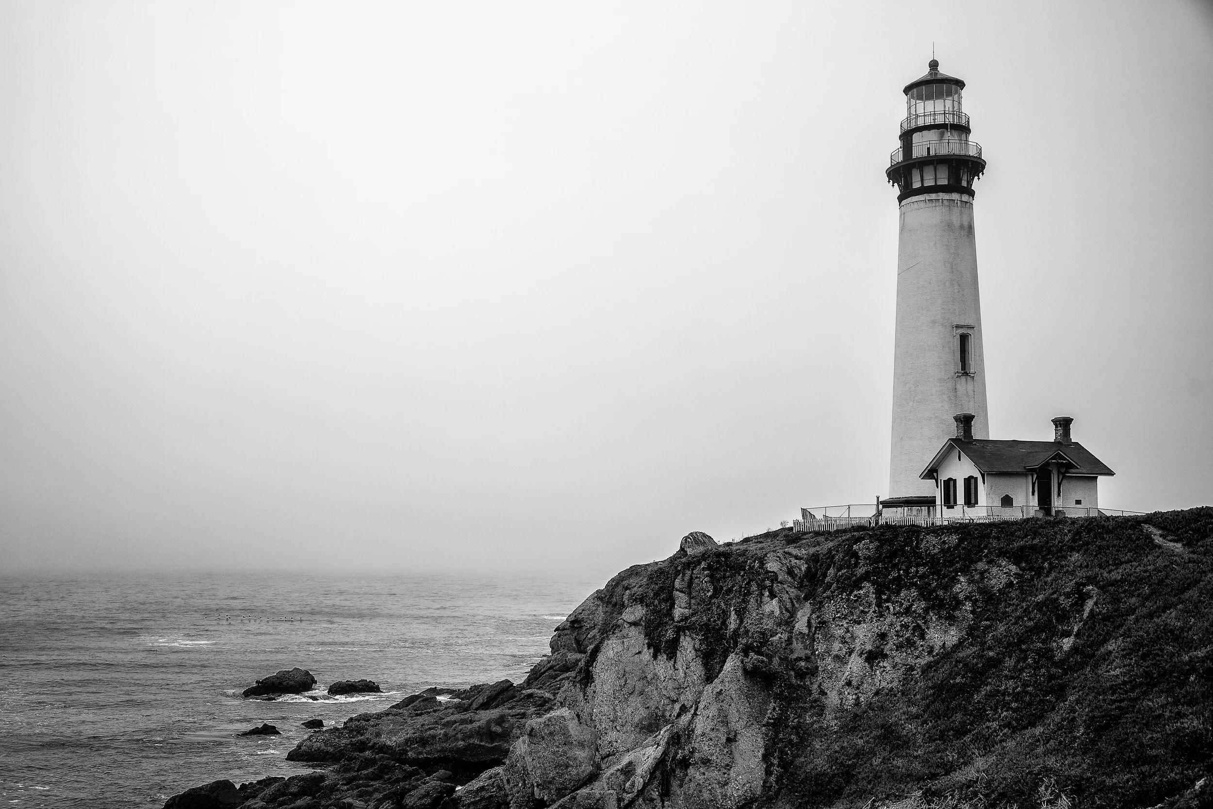 Making this photo black and white meant it didn't matter that it was totally foggy and the sky was really gray.