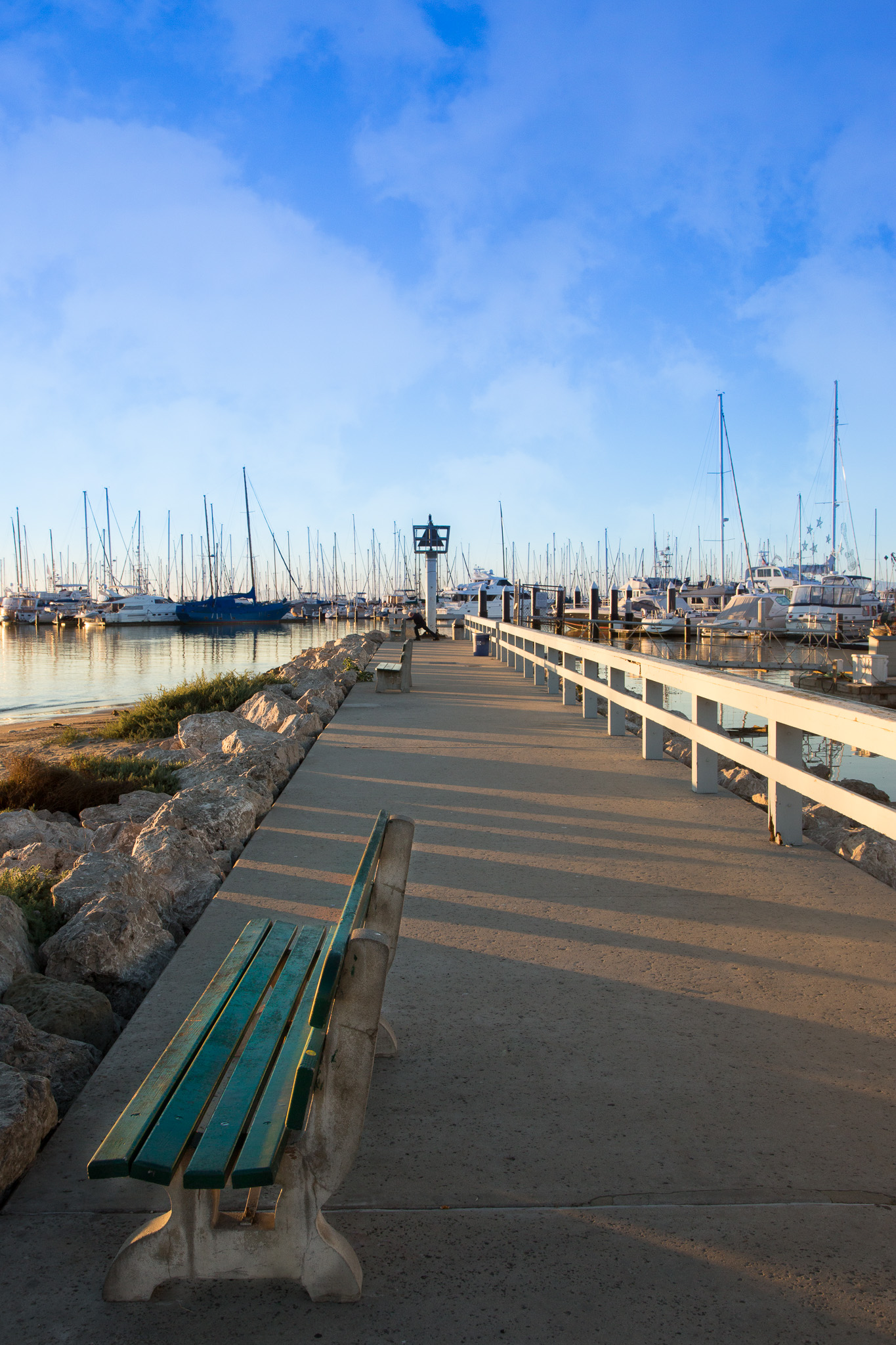 Here is the same shot with what I'd call a "proper" white balance. You can click on the image to view it full size.
