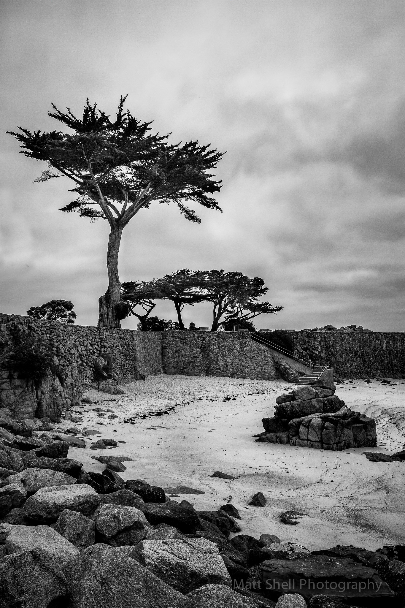Using Nik Software's Silver EFX, I took the color out of the photo and really like it. Sometimes taking the color out can get you to look at an image in a totally different way.