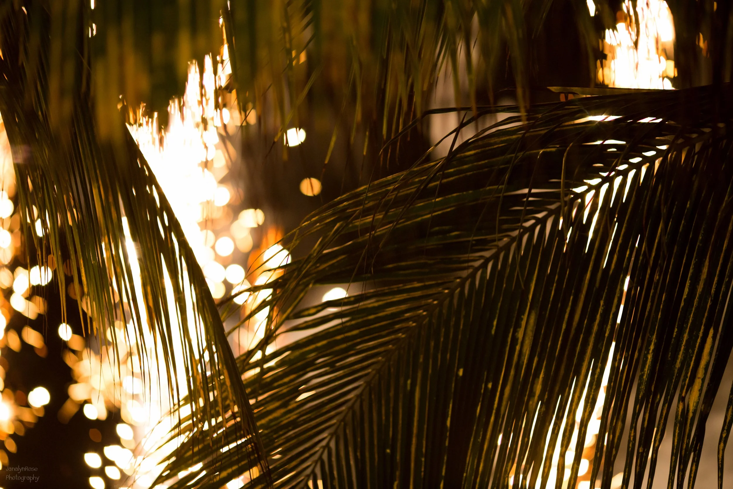 CRISTINA-MATT-WEDDING 100-WEB-646.JPG