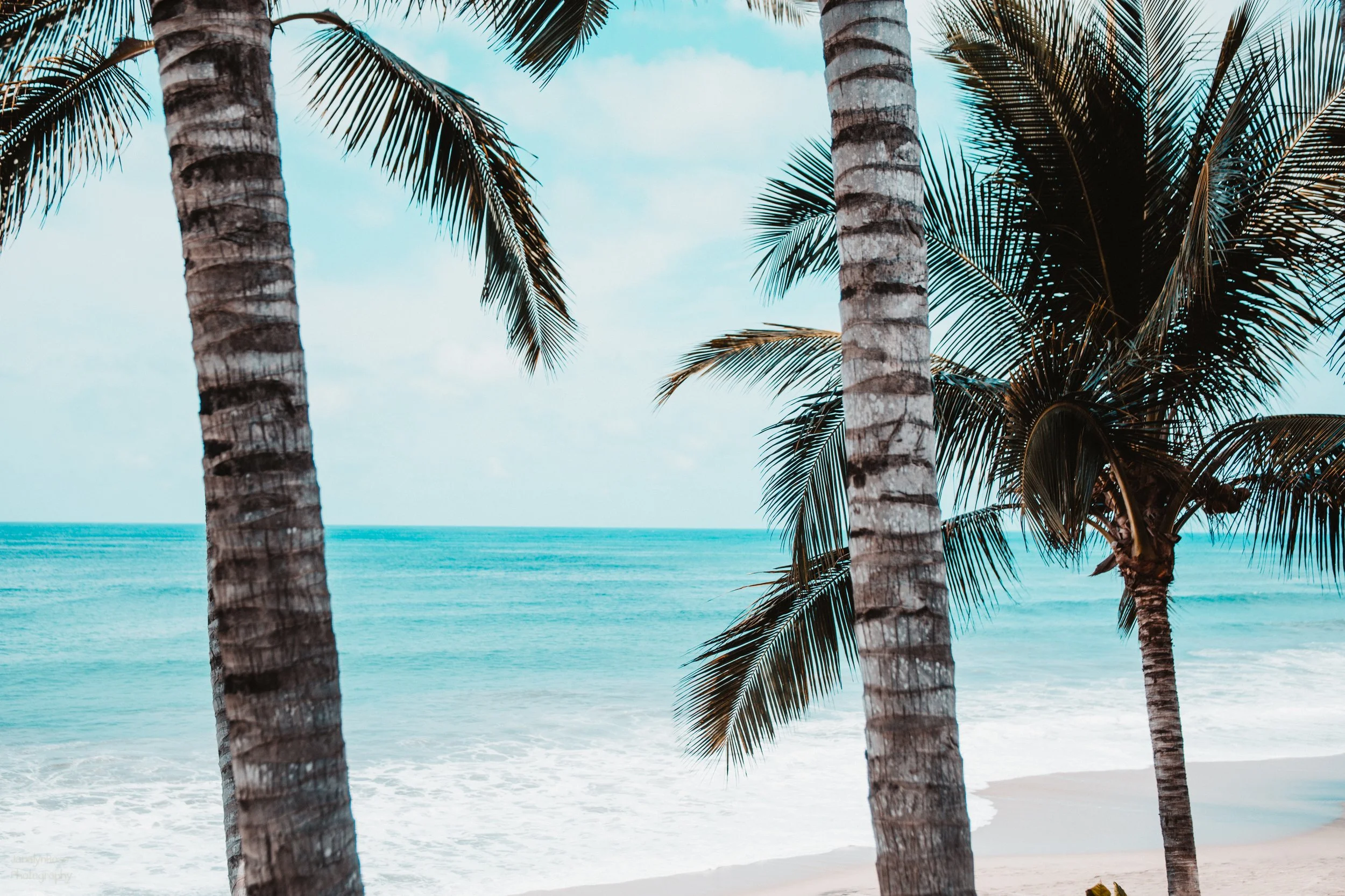 CRISTINA-MATT-WEDDING 100-WEB-65.JPG