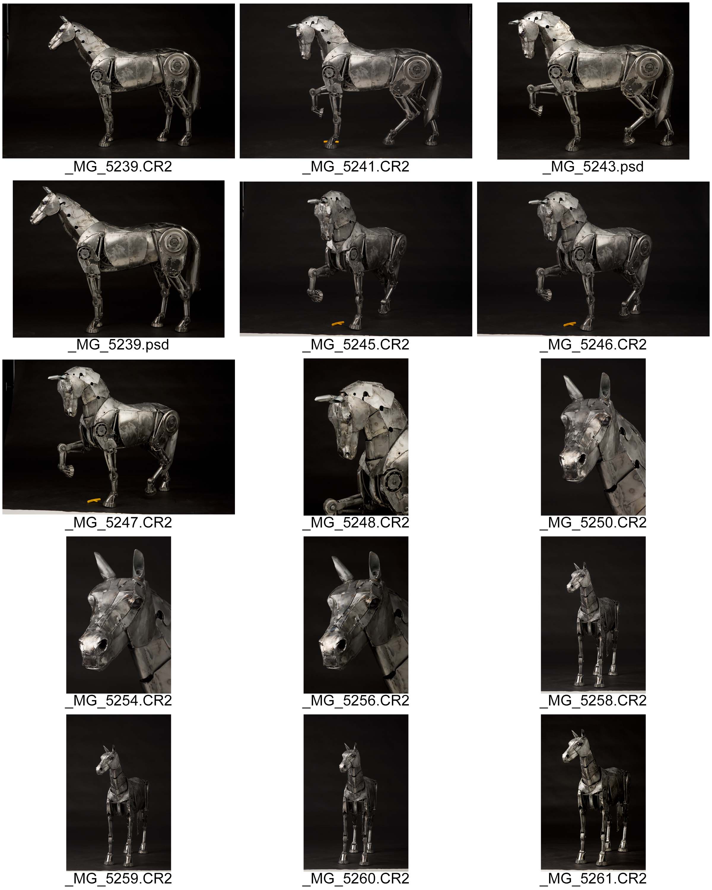 Horse ContactSheet-001.jpg