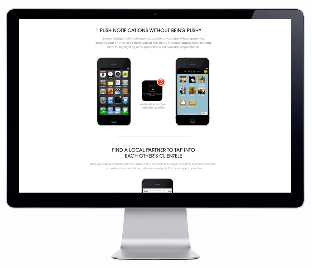 screen website sample2.jpg