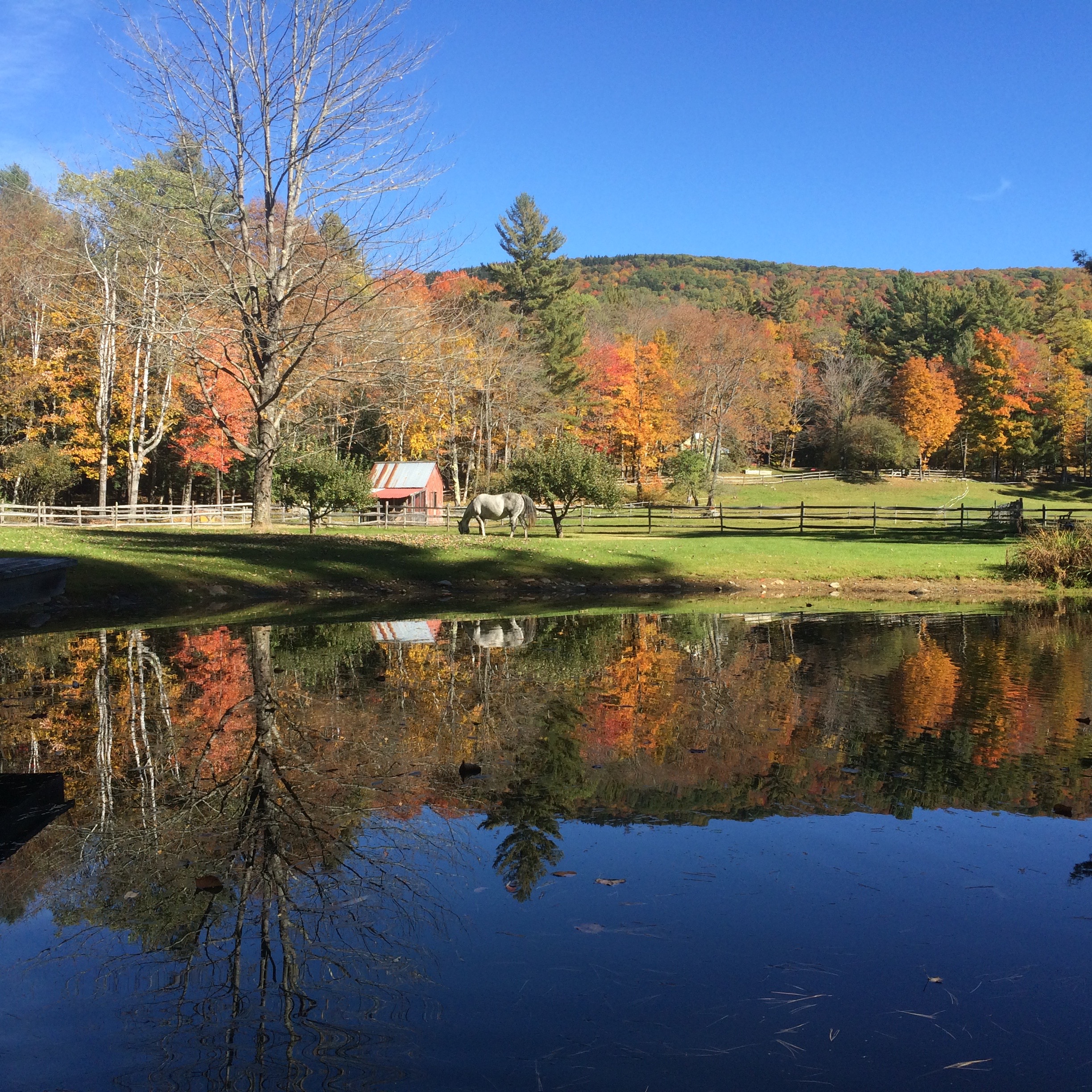 View during Fall 2015.jpg