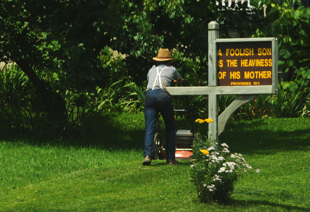 amish_mower_ss.jpg