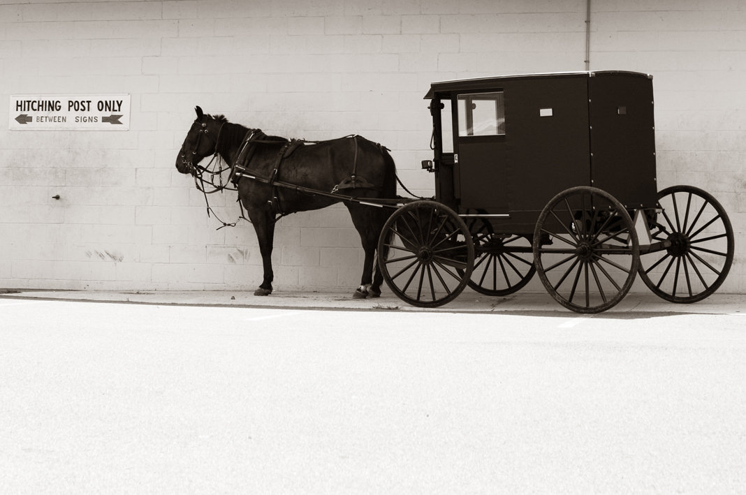 amish05_ss.jpg