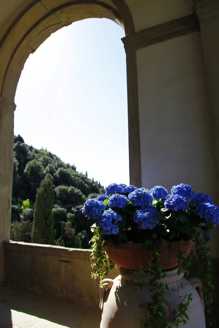 Villa San Michele / Florence