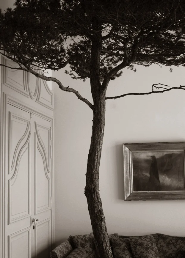 Ousteau de Baumanière / Provence