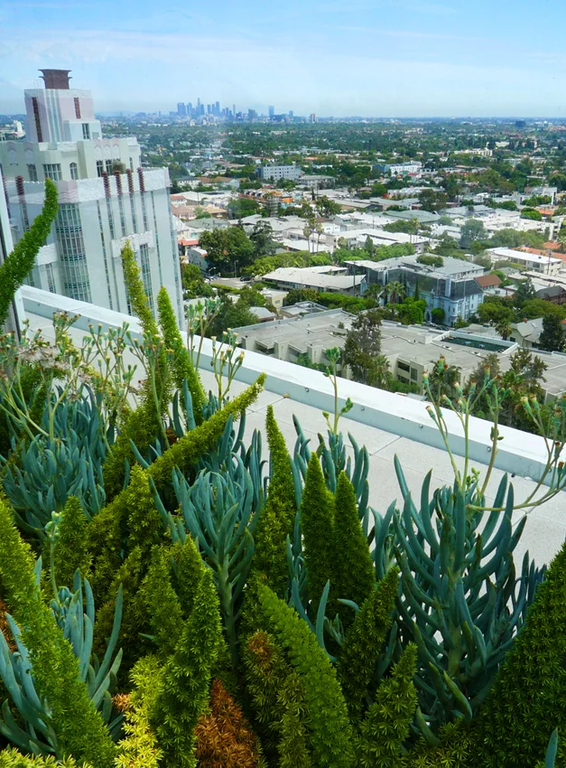 L'Andaz / Los Angeles