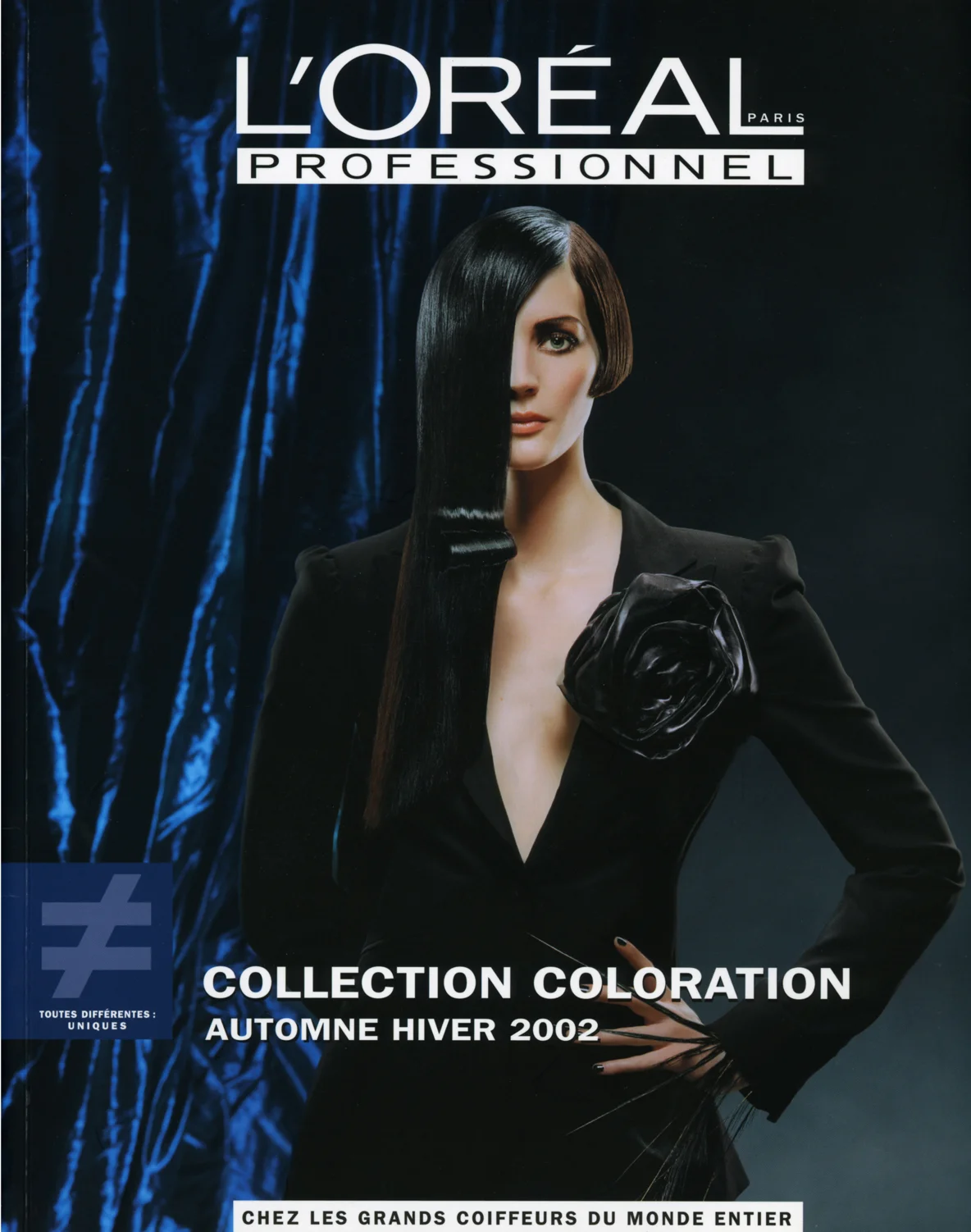 lorealpro1.jpg