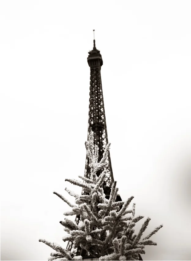 eiffel_tower_as_star_ss.jpg