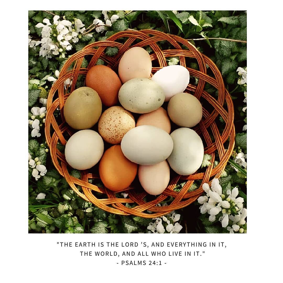 Sooo pretty!!! $2 baker's dozen egg sale this weekend!!!! We have baskets of rainbow eggs!!! Blues, greens, chocolate and gold!!! 😍🐓🌈🥚At the ⛪ on the corner! (Hoover ave. &amp; Beaverton rd.)
&quot;The earth is the Lord &rsquo;s, and everything i