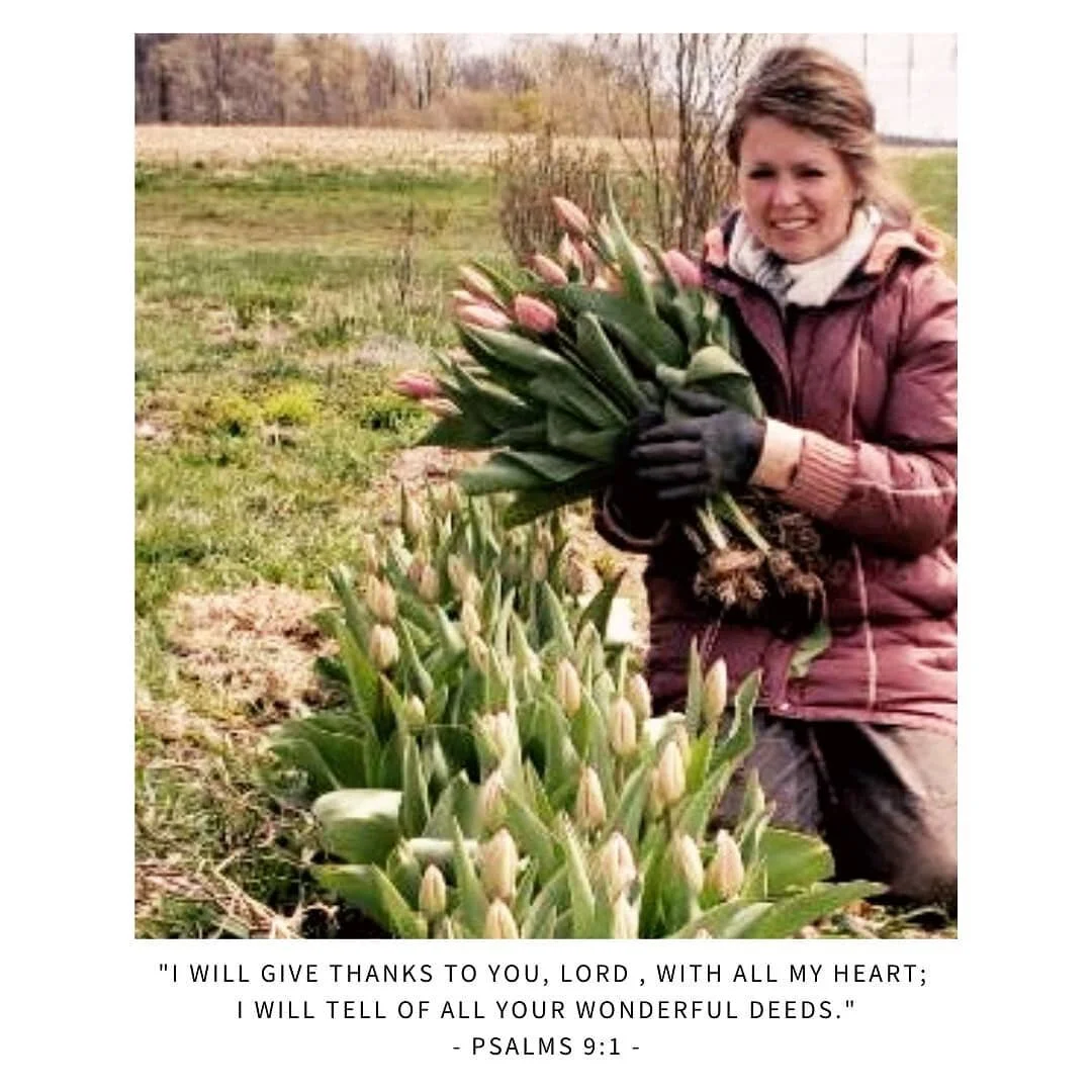 Well thats a wrap on tulip season! I've sooooo much to be thankful for: lovely flowers and wonderfully supportive people!!!! 💛 🤗🥰💐🎨 Its all uphill from here! New flowers are blooming every day! The flower stand is still going! Bouquets are heavy