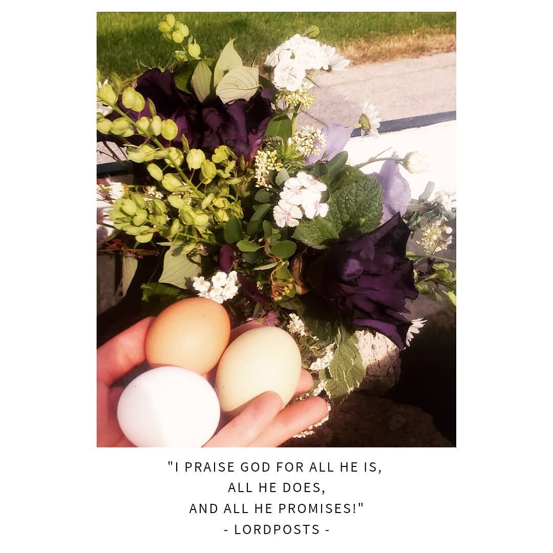 &quot;I praise God for all he is, 
all he does,
and all he promises!&quot; 
- lordposts -
Finally got it together and ahead of the crowd!! lol!!!! Flower stand is stocked with fresh eggs and fresh flowers!!!! 💐 😍 ☺
Hey if anyone stopping by has an 