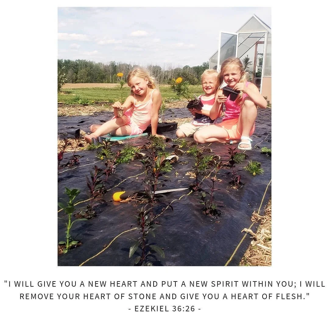 My sweets 🥰 three great garden helpers! I can get 5 minutes out of the middle one. The big one is definitely willing for ten. And the small one is a total distraction; constantly insisting I push him on the swing 🤣. Gosh I enjoy them all so much.

