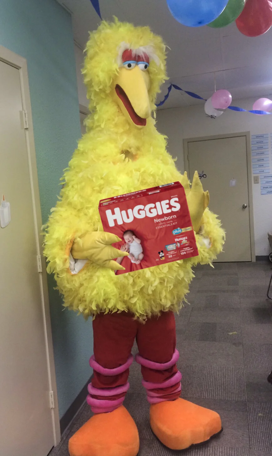  Photos with Big Bird are free! Donations are welcomed. 