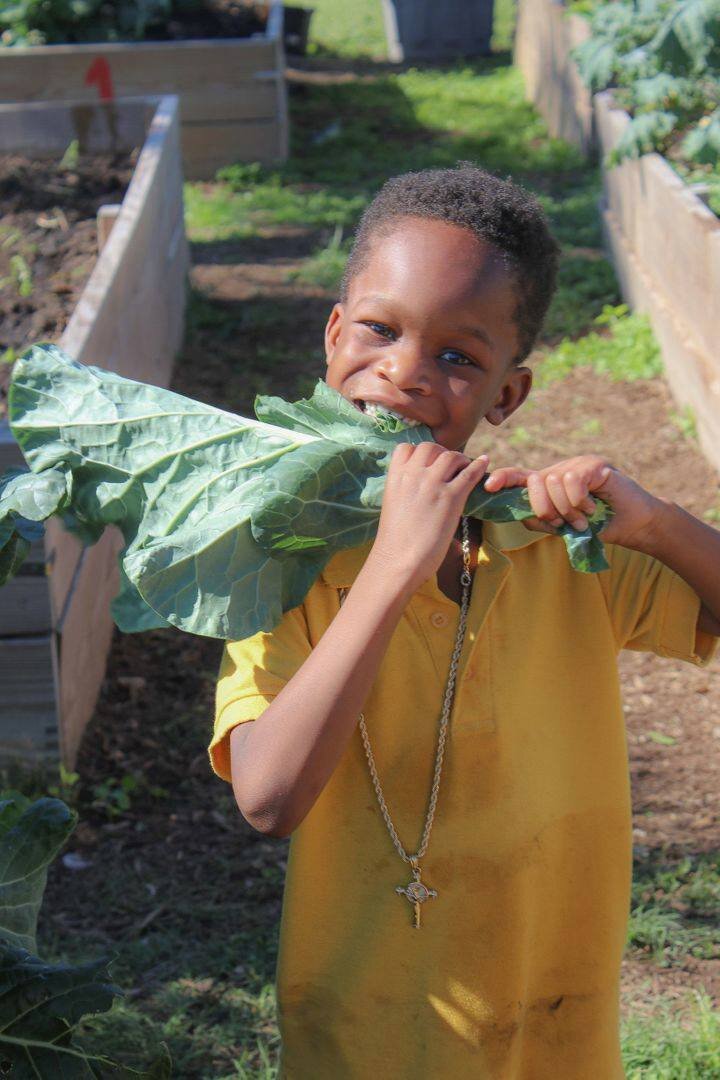 little boy eating kale in Morgan garden.2019-2020 ygp.jpg