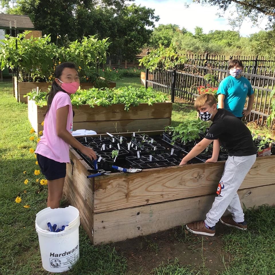 Volunteer at Young Gardeners Program