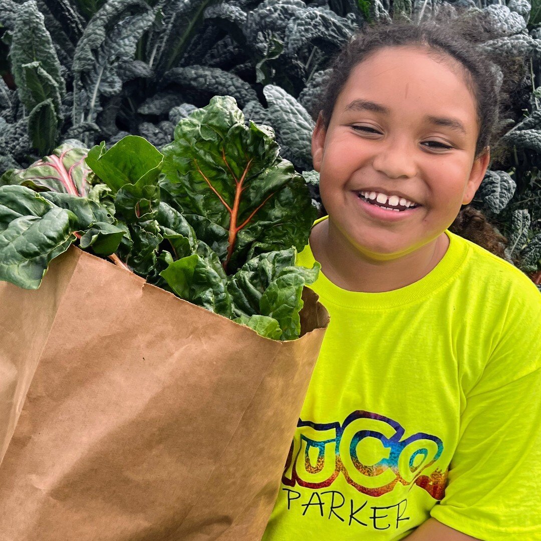 Happy Fri-YAY!

Remember to eat your greens this weekend. 😋🥬 💚
.
.
.
.
.
.
#WhyIGOFM #GOFarmersMarket #GalvestonsOwnFarmersMarket #BestFarmersMarketEver #EatYourGreens #HappyWeekend