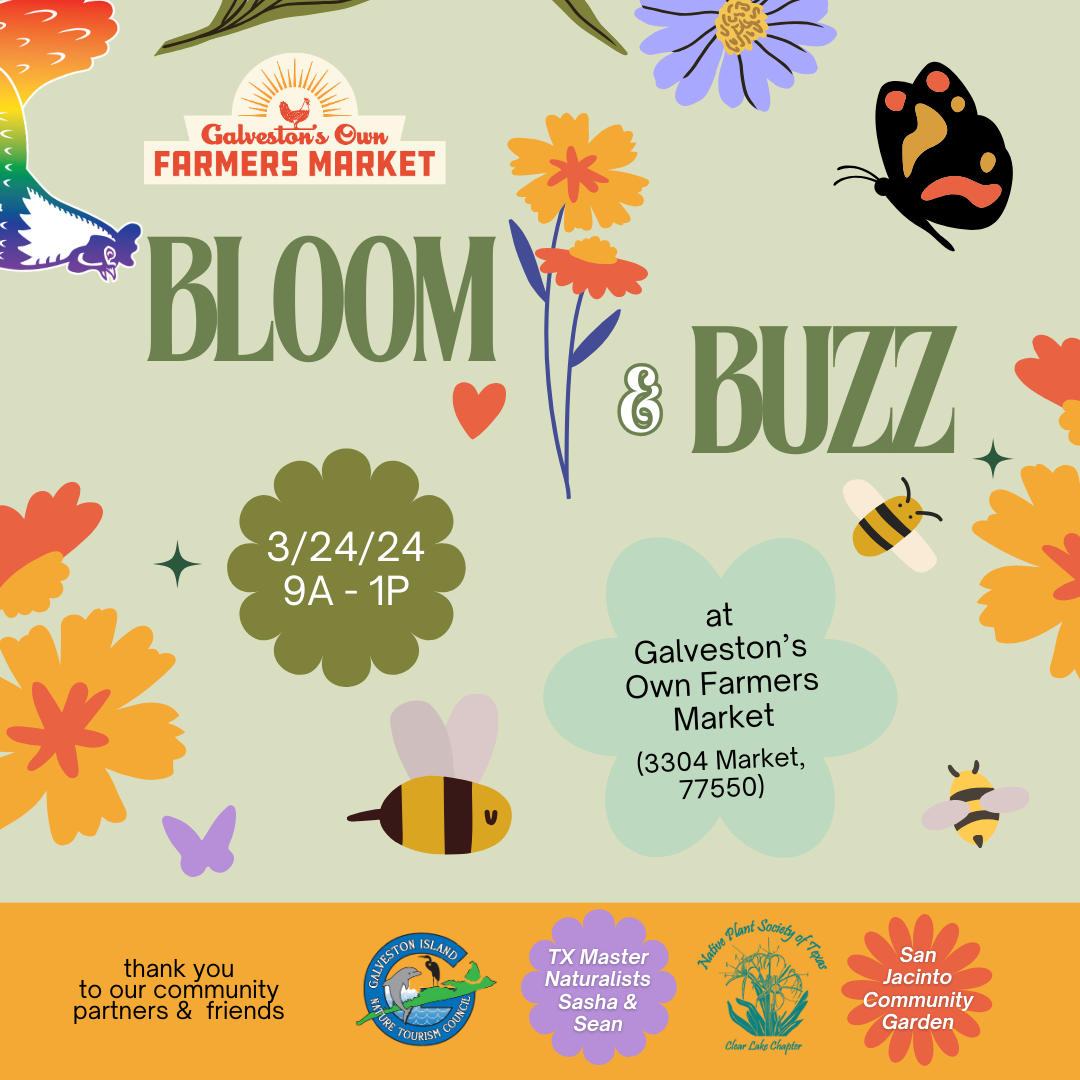 240324 - Bloom & Buzz - WEB BLOCK.png