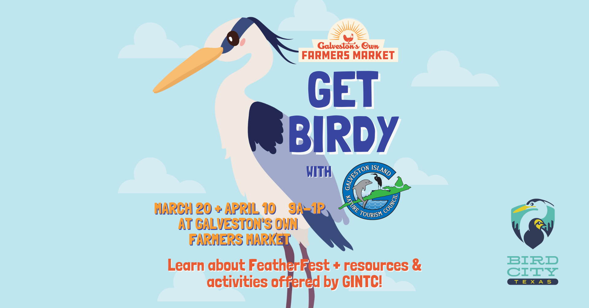 Get Birdy with Galveston Island Nature Tourism — Galveston's Own