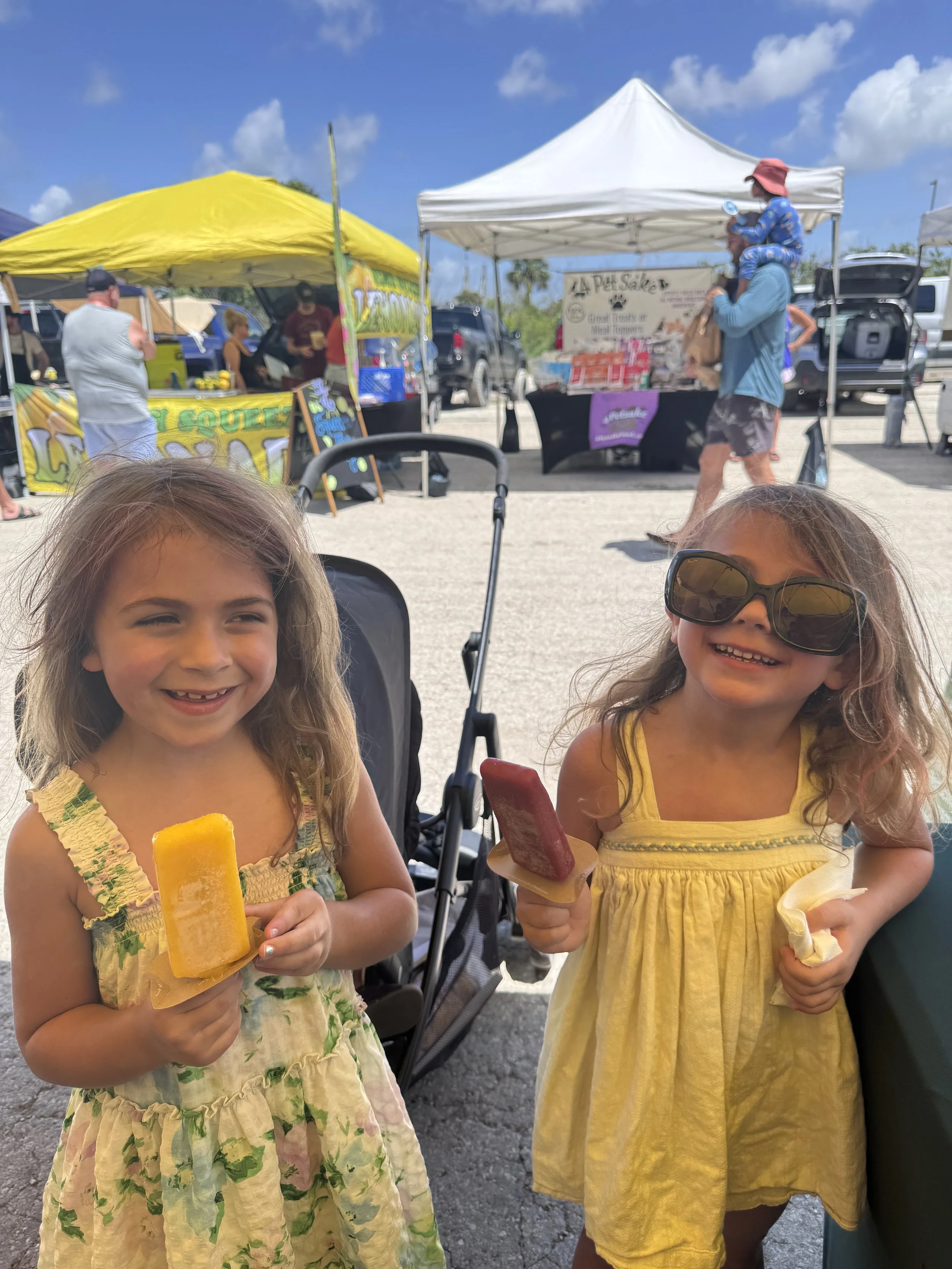   There are many ways to stay cool at Market! Check out our new vendor Fifth Street Gourmet Popsicles!  