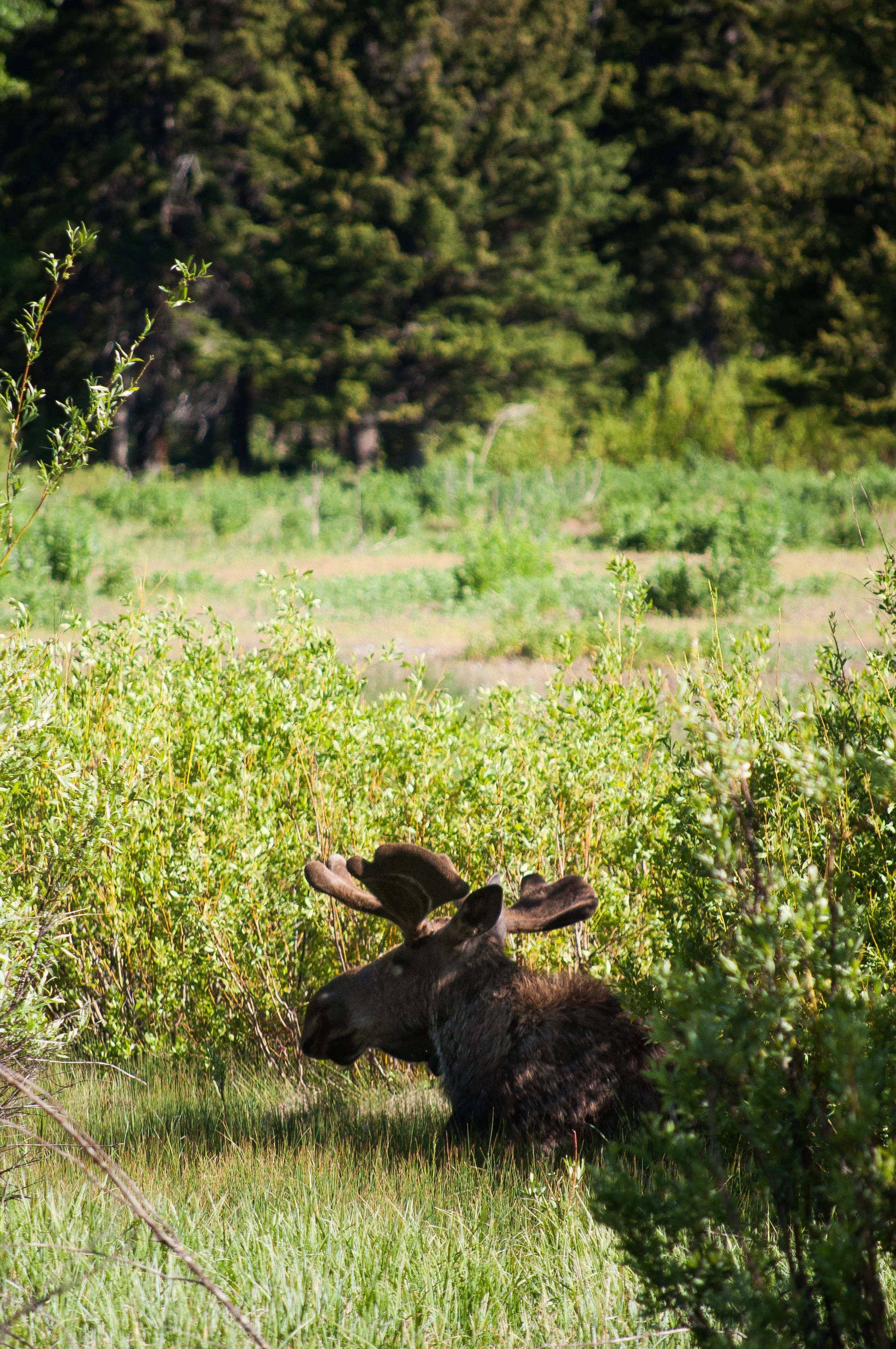 _DSC3080.jpg