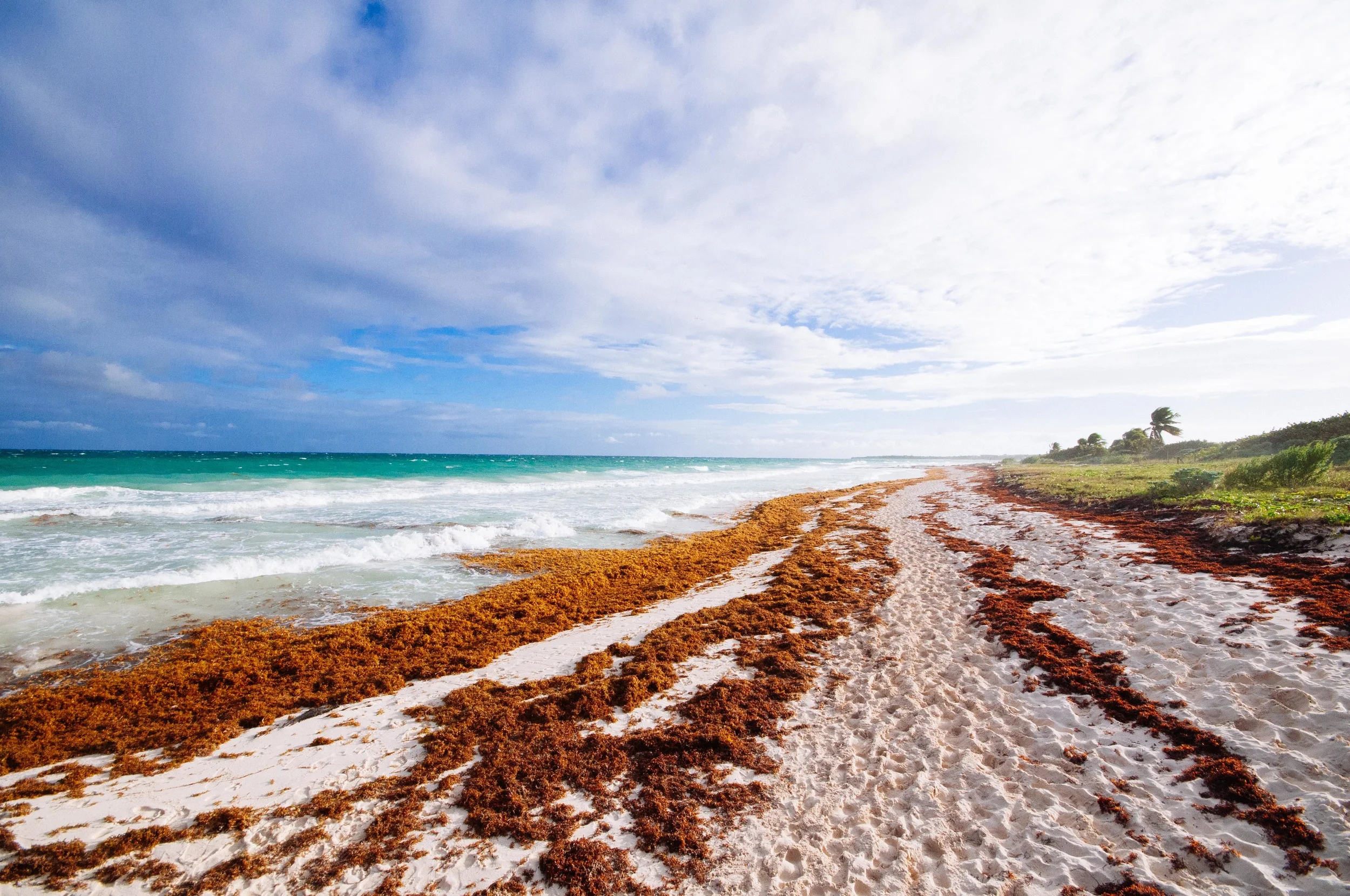 Quintana Roo, Mexico