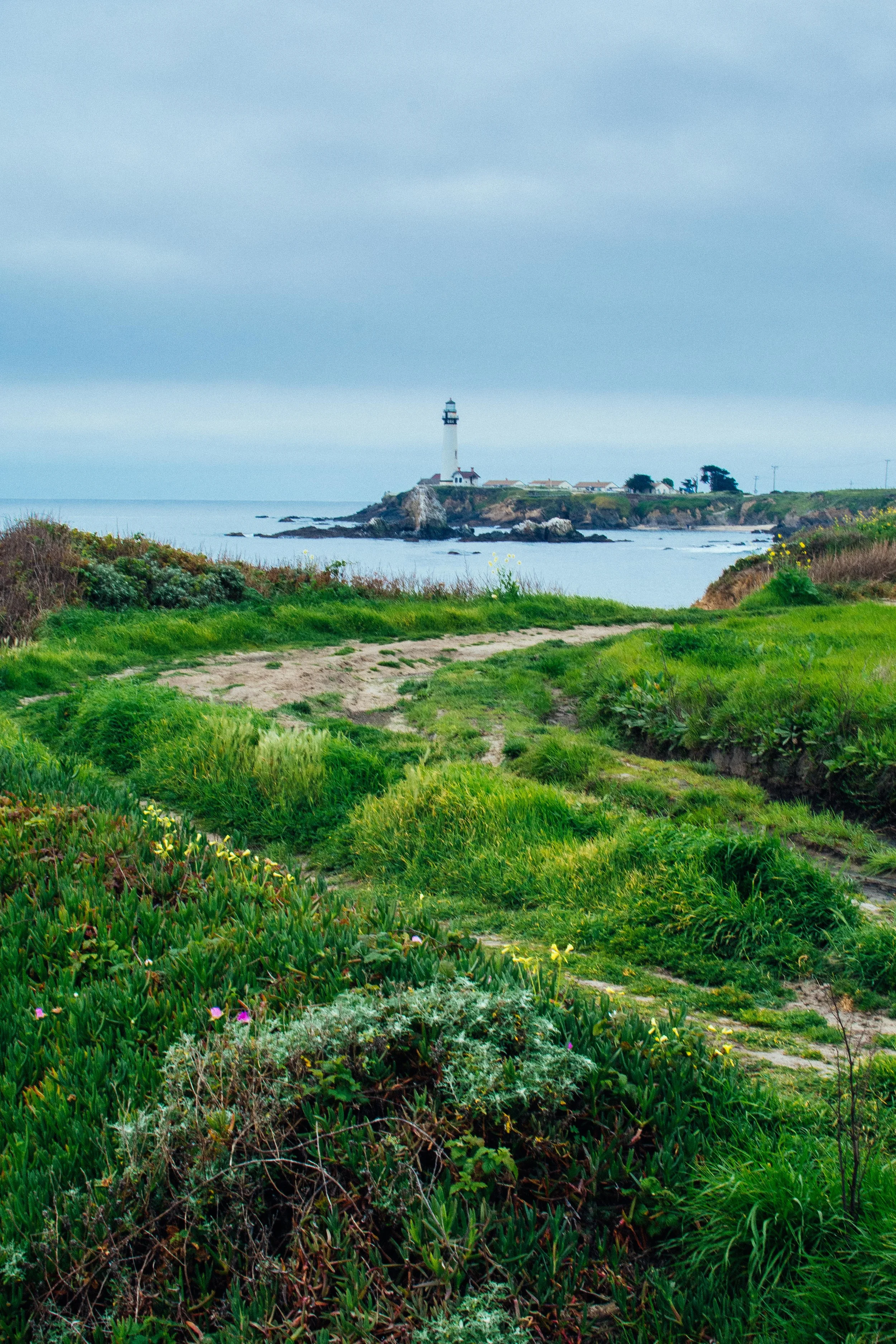 Pigeon Point Lighthouse, California