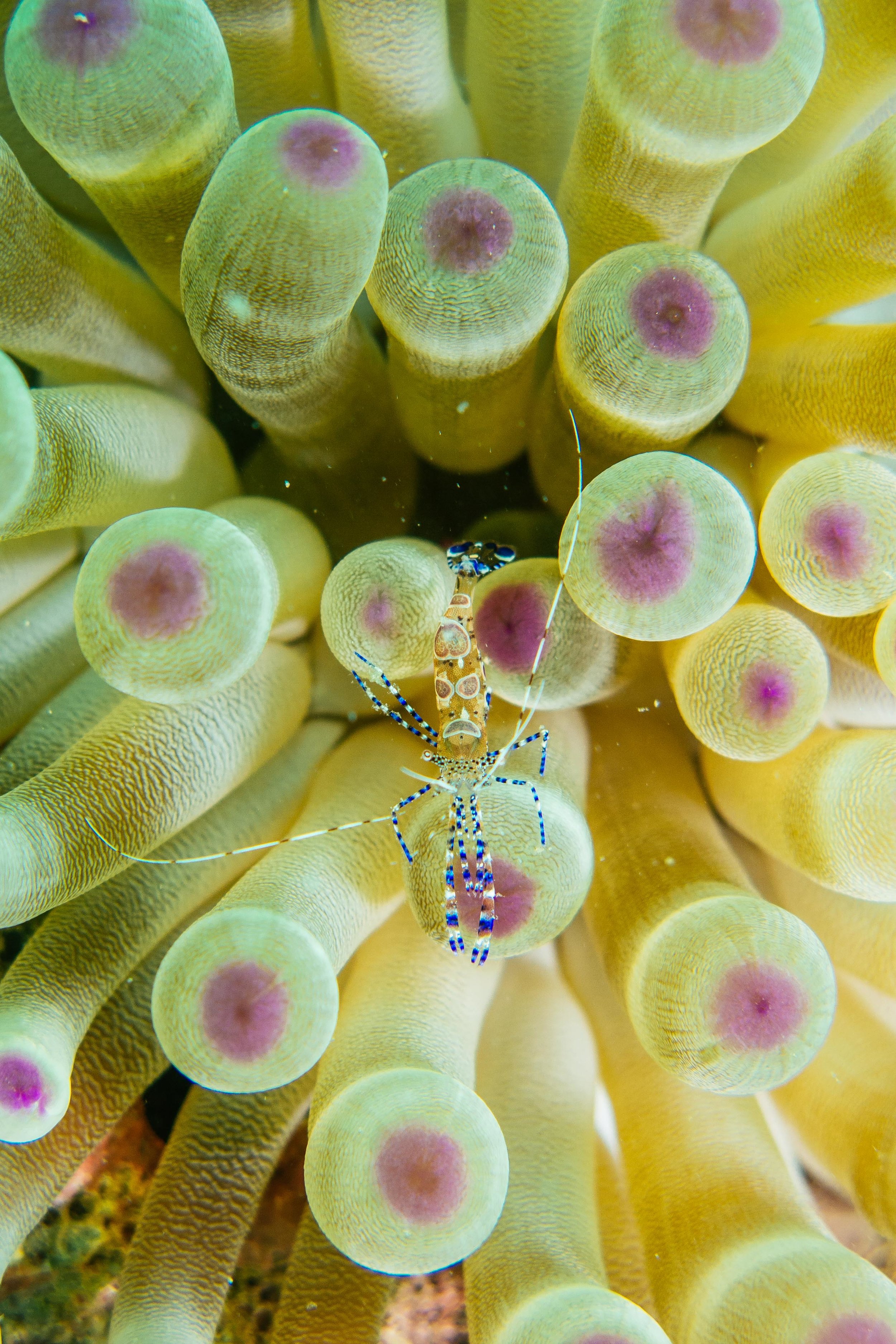 underwater-4.jpg