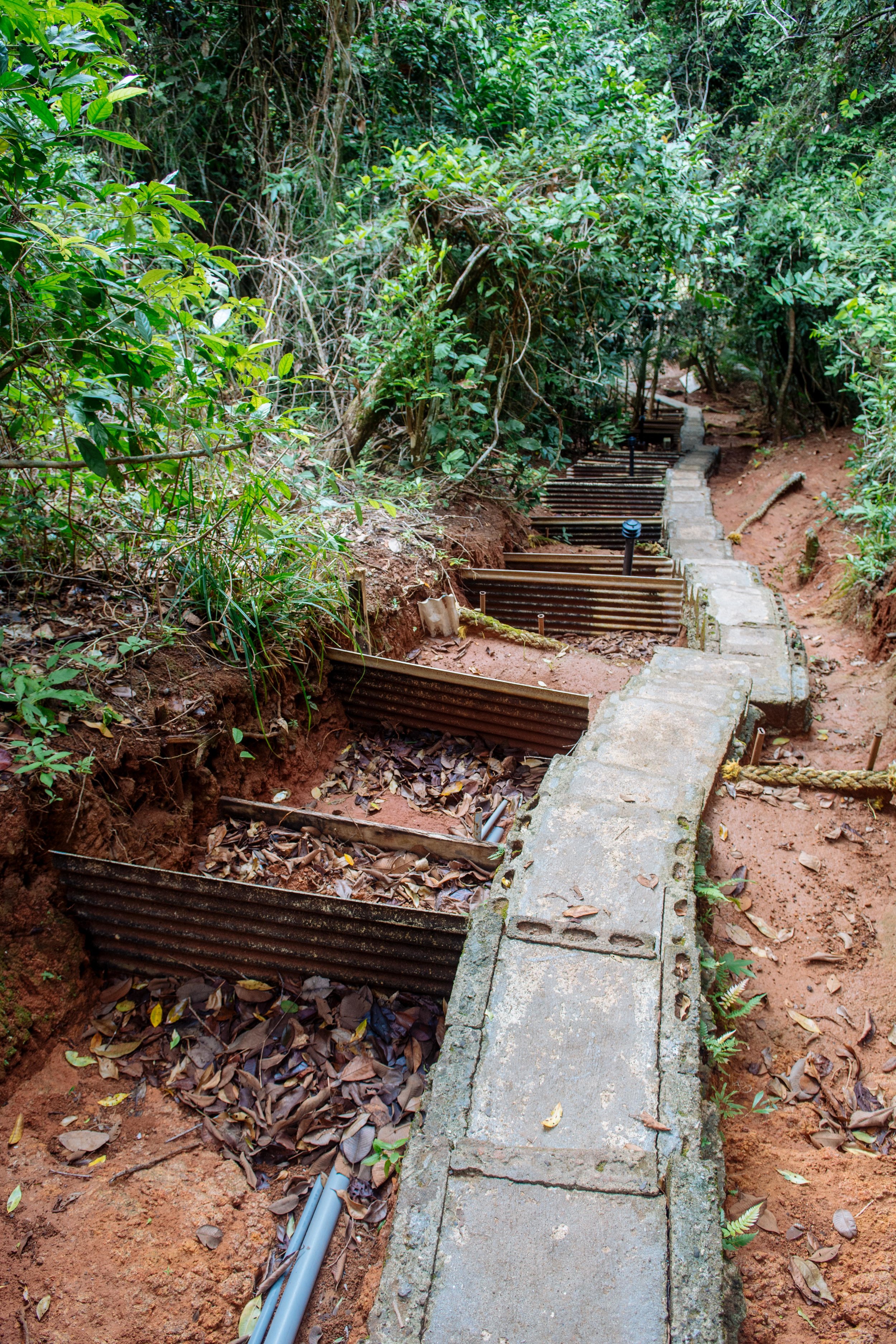 Coiba-13.jpg